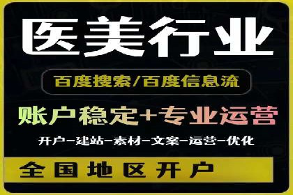 SEM代理案例：揭秘成功背后的秘密